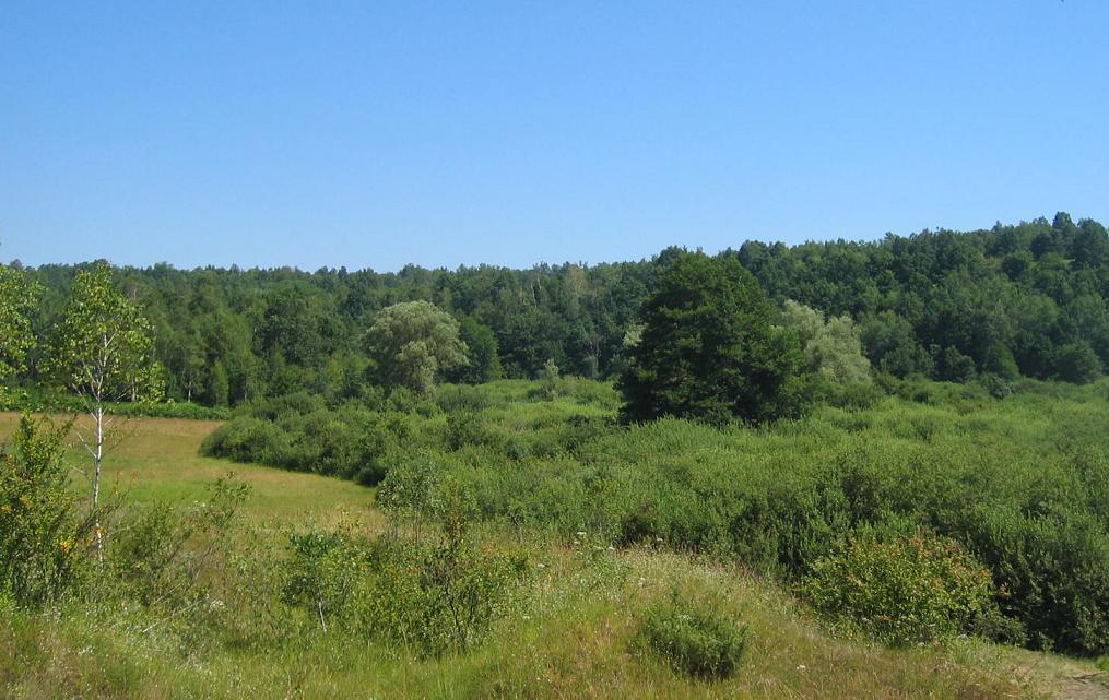 Ukrepi Natura 2000 so v SN  oblikovani tako, meni Boris Grabrijan iz krajinskga parka Kolpa, da nagrajujejo tiste, ki  v dosedanji perspektivi SKP ciljev niso dosegali  