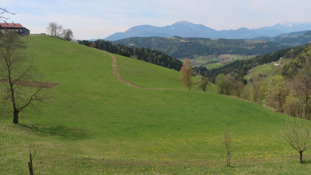 pogled na kmetijo Goličnik 